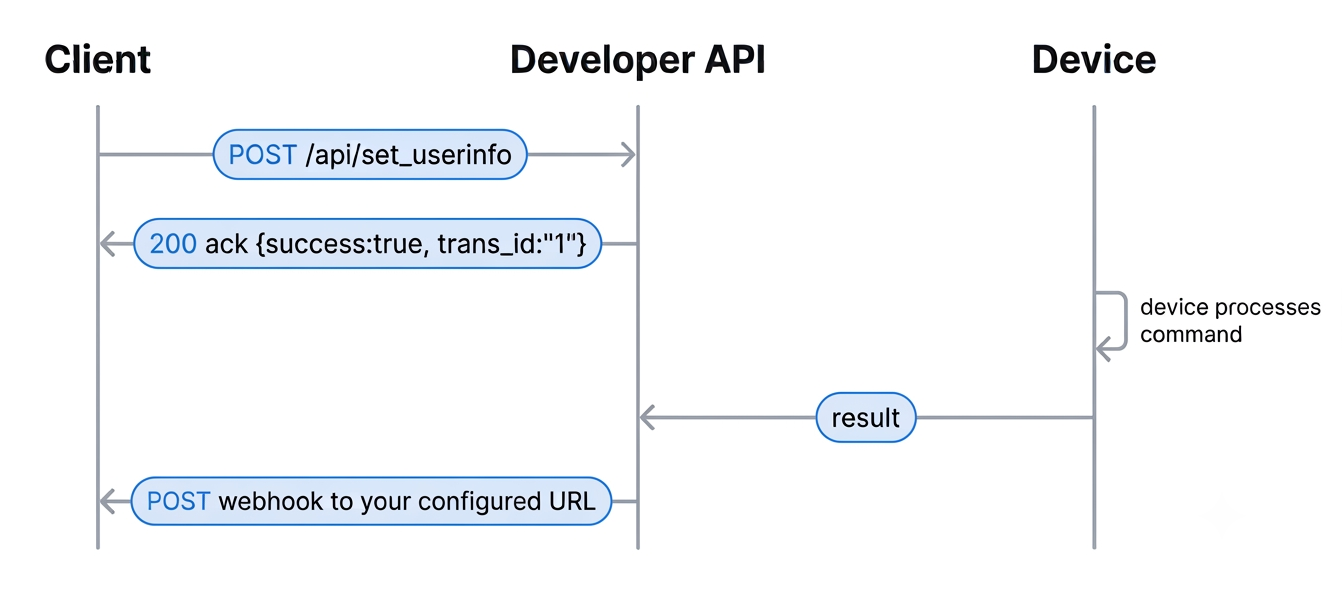 Async Flow Diagram